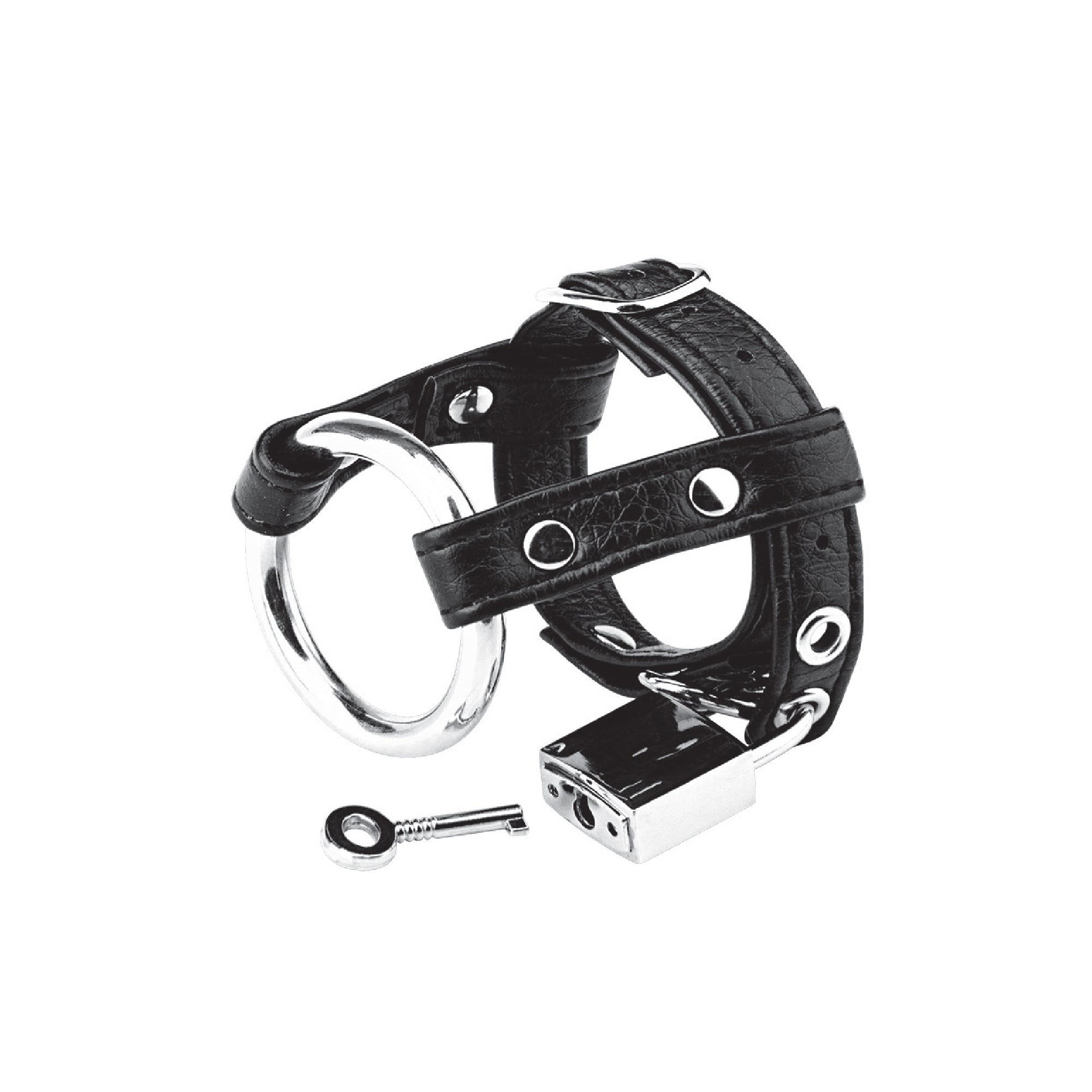 Duo Cock And Ball Lock