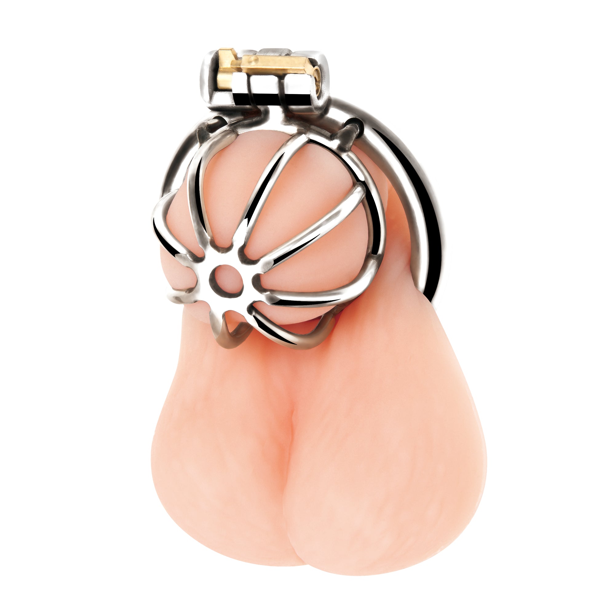 Little Cock Chastity Cage