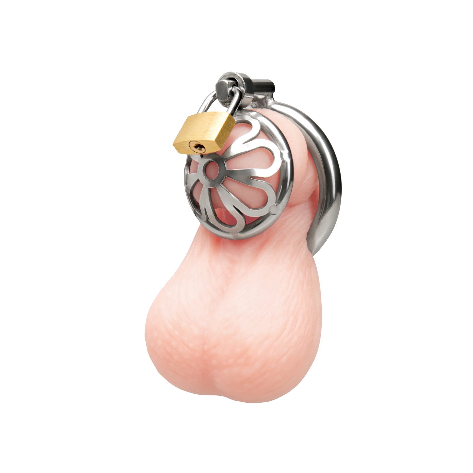 Stainless Steel Turtle Head Chastity Cage