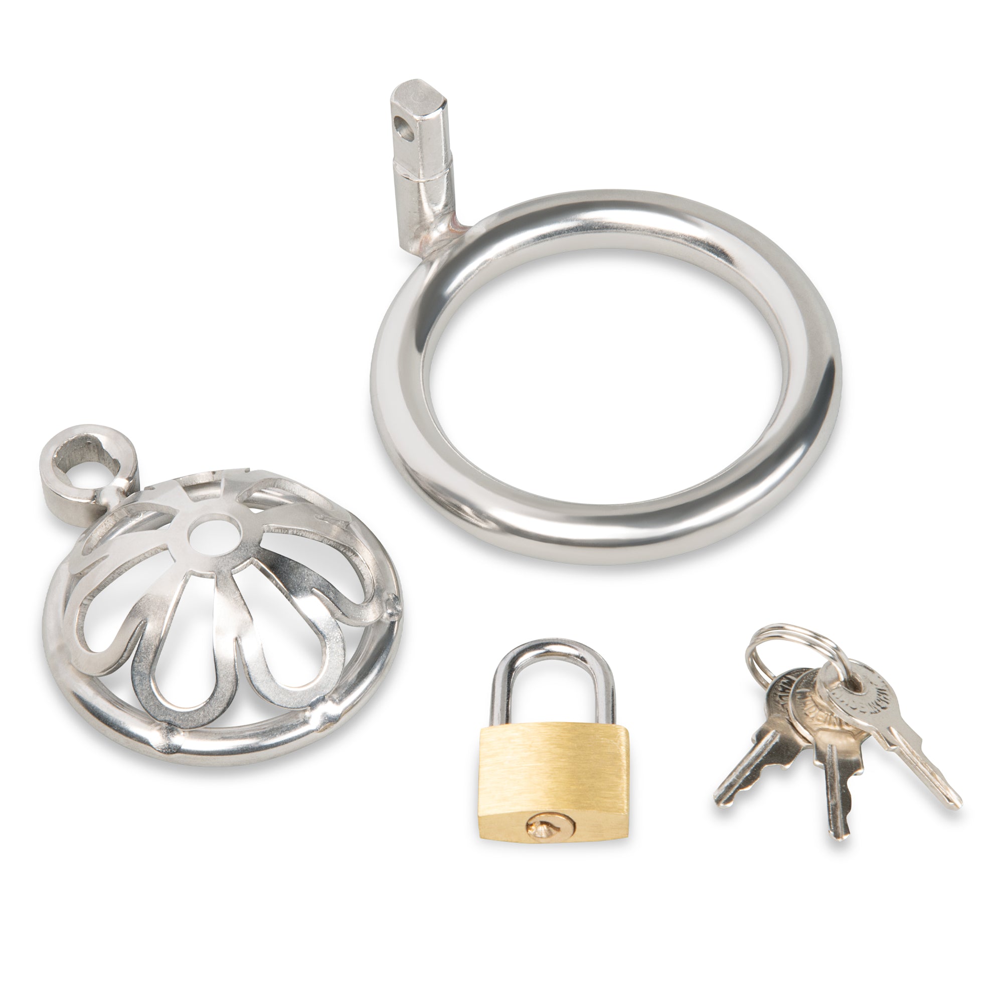 Stainless Steel Turtle Head Chastity Cage