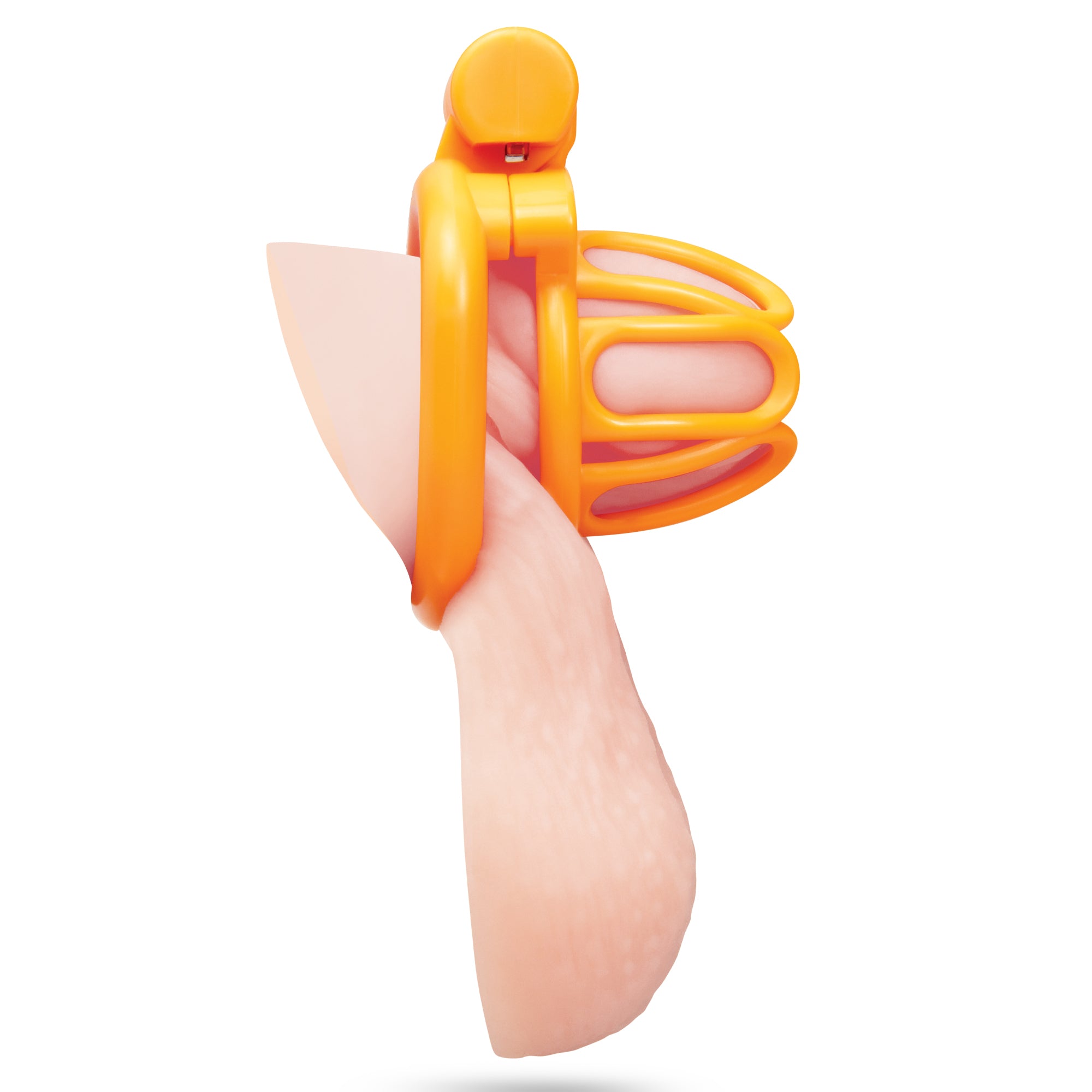 Fenced-In Inmate Mini Cock Chastity Cage