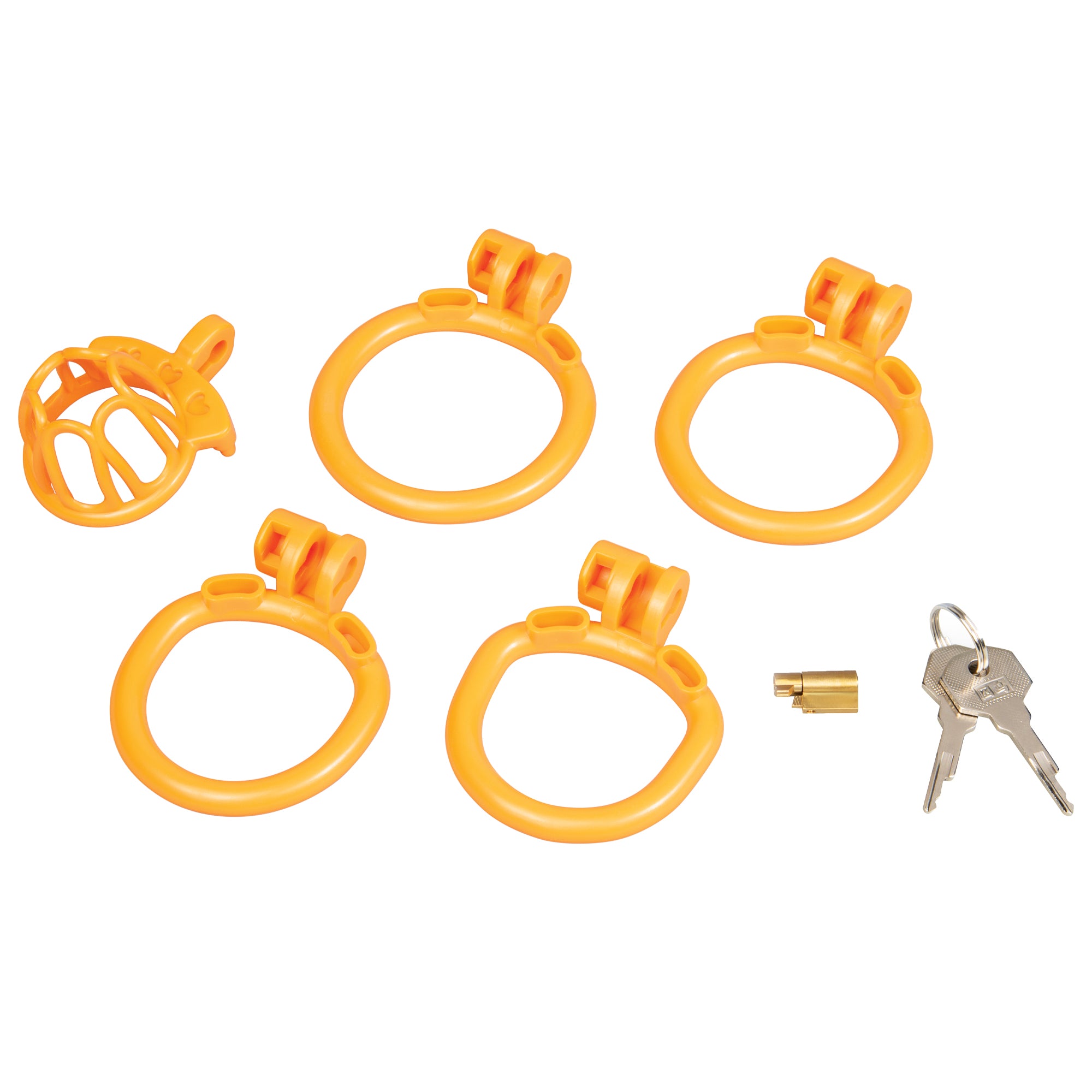 Fenced-In Inmate Mini Cock Chastity Cage