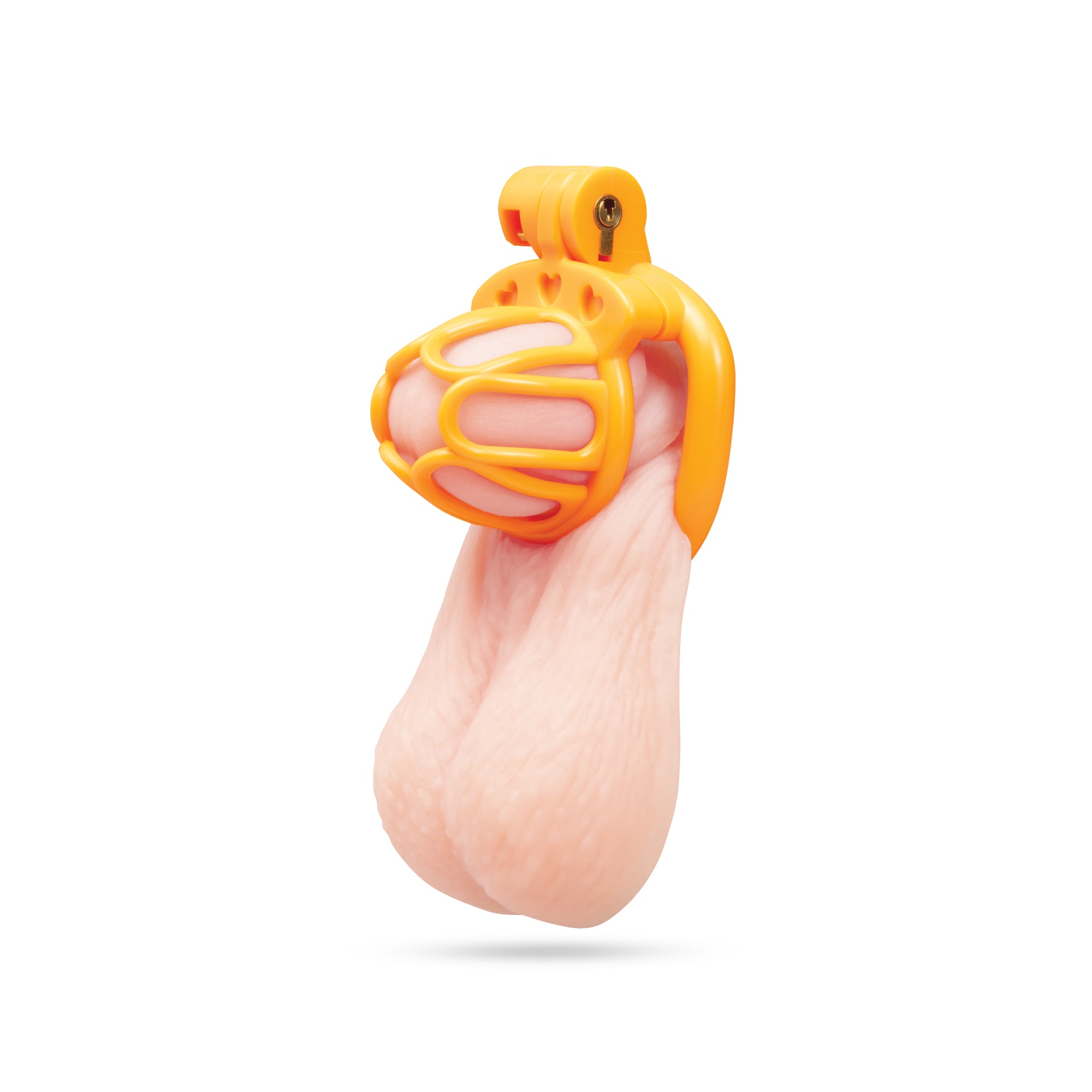 Fenced-In Inmate Mini Cock Chastity Cage